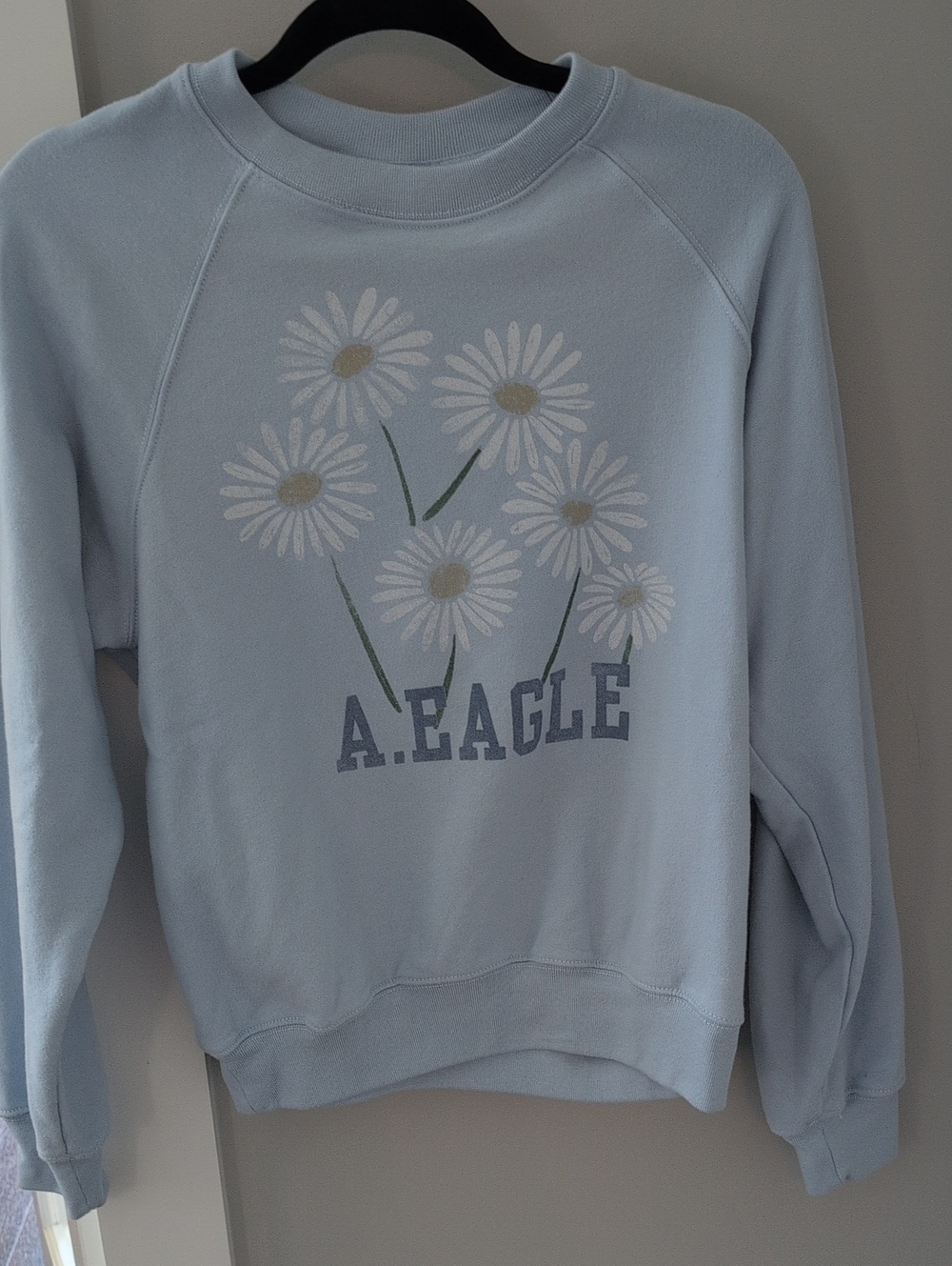 American Eagle Outfitters Light Blue Daisy Graphic Crewneck Sweatshirt
